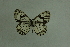  ( - DNAwthmel 288)  @13 [ ] Copyright (2009) Unspecified Unspecified