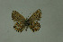  ( - DNAwthlyc 005)  @13 [ ] Copyright (2009) Unspecified Unspecified