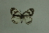  ( - DNAwthmel 289)  @13 [ ] Copyright (2009) Unspecified Unspecified