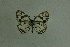  ( - DNAwthmel 289)  @13 [ ] Copyright (2009) Unspecified Unspecified