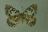  ( - DNAwthmel 007)  @13 [ ] Copyright (2009) Unspecified Unspecified