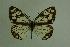  ( - DNAwthmel 010)  @13 [ ] Copyright (2009) Unspecified Unspecified