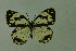  ( - DNAwthmel 103)  @13 [ ] Copyright (2009) Unspecified Unspecified