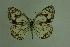 ( - DNAwthmel 010)  @13 [ ] Copyright (2009) Unspecified Unspecified