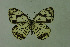  ( - DNAwthmel 103)  @13 [ ] Copyright (2009) Unspecified Unspecified