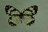  ( - DNAwthmel 011)  @13 [ ] Copyright (2009) Unspecified Unspecified