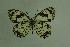  ( - DNAwthmel 011)  @13 [ ] Copyright (2009) Unspecified Unspecified