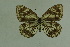  ( - DNAwthmel 104)  @13 [ ] Copyright (2009) Unspecified Unspecified