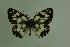  ( - DNAwthmel 014)  @14 [ ] Copyright (2009) Unspecified Unspecified