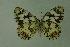  ( - DNAwthmel 015)  @14 [ ] Copyright (2009) Unspecified Unspecified