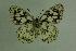  ( - DNAwthmel 016)  @13 [ ] Copyright (2009) Unspecified Unspecified