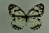 ( - DNAwthmel 306)  @13 [ ] Copyright (2009) Unspecified Unspecified