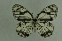  ( - DNAwthmel 306)  @13 [ ] Copyright (2009) Unspecified Unspecified