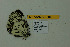  ( - DNAwthmel 281)  @12 [ ] Copyright (2009) Unspecified Unspecified