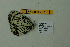  ( - DNAwthmel 282)  @12 [ ] Copyright (2009) Unspecified Unspecified