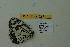  ( - DNAwthmel 283)  @12 [ ] Copyright (2009) Unspecified Unspecified
