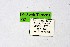  ( - DNAwthTarucus002)  @11 [ ] copyright (2023) Wolfgang tenHagen Unspecified
