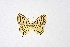  ( - DNAwthTarucus003)  @11 [ ] copyright (2023) Wolfgang tenHagen Unspecified