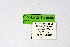  ( - DNAwthTarucus003)  @11 [ ] copyright (2023) Wolfgang tenHagen Unspecified