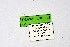  ( - DNAwthTarucus004)  @11 [ ] copyright (2023) Wolfgang tenHagen Unspecified