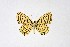 ( - DNAwthTarucus020)  @11 [ ] copyright (2023) Wolfgang tenHagen Unspecified