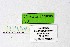  ( - DNAwthTarucus020)  @11 [ ] copyright (2023) Wolfgang tenHagen Unspecified