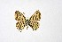  ( - DNAwthTarucus023)  @11 [ ] copyright (2023) Wolfgang tenHagen Unspecified