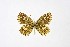  ( - DNAwthTarucus028)  @11 [ ] copyright (2023) Wolfgang tenHagen Unspecified
