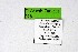  ( - DNAwthTarucus028)  @11 [ ] copyright (2023) Wolfgang tenHagen Unspecified