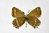  ( - DNAwthSatyrium175)  @11 [ ] copyright (2023) Wolfgang tenHagen Unspecified