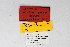  ( - DNAwthSatyrium175)  @11 [ ] copyright (2023) Wolfgang tenHagen Unspecified