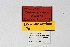  ( - DNAwthSatyrium176)  @11 [ ] copyright (2023) Wolfgang tenHagen Unspecified