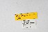  ( - DNAwthSatyrium177)  @11 [ ] copyright (2023) Wolfgang tenHagen Unspecified