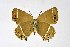  ( - DNAwthSatyrium199)  @11 [ ] copyright (2023) Wolfgang tenHagen Unspecified