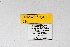  ( - DNAwthSatyrium216)  @11 [ ] copyright (2023) Wolfgang tenHagen Unspecified