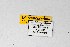  ( - DNAwthSatyrium234)  @11 [ ] copyright (2023) Wolfgang tenHagen Unspecified