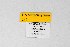  ( - DNAwthSatyrium235)  @11 [ ] copyright (2023) Wolfgang tenHagen Unspecified