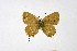  ( - DNAwthSatyrium236)  @11 [ ] copyright (2023) Wolfgang tenHagen Unspecified