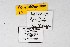  ( - DNAwthSatyrium236)  @11 [ ] copyright (2023) Wolfgang tenHagen Unspecified