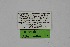  ( - DNAwth Athamanthia 033)  @11 [ ] Copyright (2021) Wolfgang tenHagen Unspecified