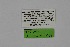  ( - DNAwth Athamanthia 034)  @11 [ ] Copyright (2021) Wolfgang tenHagen Unspecified