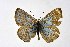  ( - DNAwthIolana010)  @11 [ ] copyright (2023) Wolfgang tenHagen Unspecified
