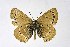  ( - DNAwthIolana010)  @11 [ ] copyright (2023) Wolfgang tenHagen Unspecified