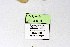  ( - DNAwthIolana010)  @11 [ ] copyright (2023) Wolfgang tenHagen Unspecified