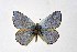  ( - DNAwthIolana012)  @11 [ ] copyright (2023) Wolfgang tenHagen Unspecified