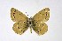  ( - DNAwthIolana012)  @11 [ ] copyright (2023) Wolfgang tenHagen Unspecified