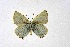  ( - DNAwthSatyrium257)  @11 [ ] Copyright (2023) Unspecified Unspecified