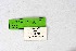  ( - DNAwthSatyrium257)  @11 [ ] Copyright (2023) Unspecified Unspecified