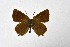  ( - DNAwthSatyrium258)  @11 [ ] Copyright (2023) Unspecified Unspecified