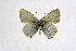  ( - DNAwthSatyrium258)  @11 [ ] Copyright (2023) Unspecified Unspecified